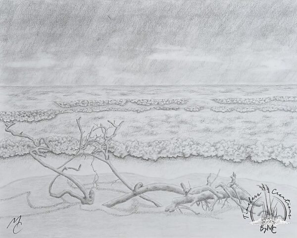 driftwood