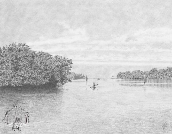 Cockroach Bay Inlet